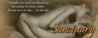 Sanctuary ~ A Family Justice Novel